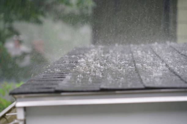 Best Solar Panel Roofing Installation  in Gaylord, MI